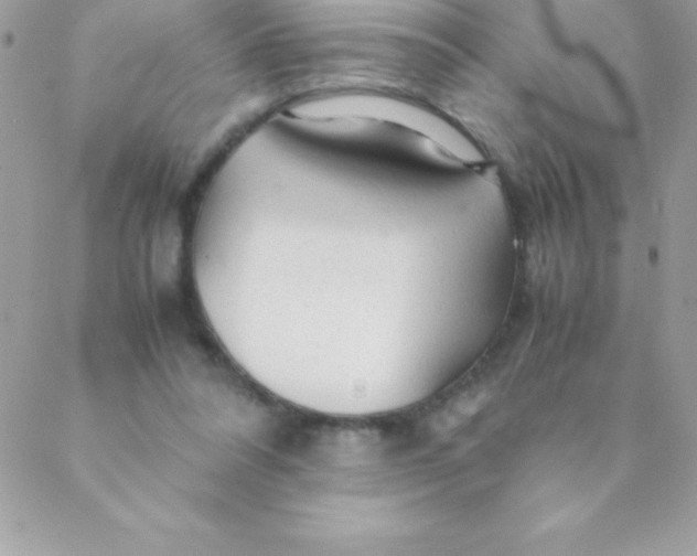 X0000088620304200706151859