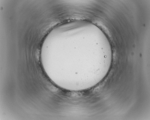 X0000088620305200706151859