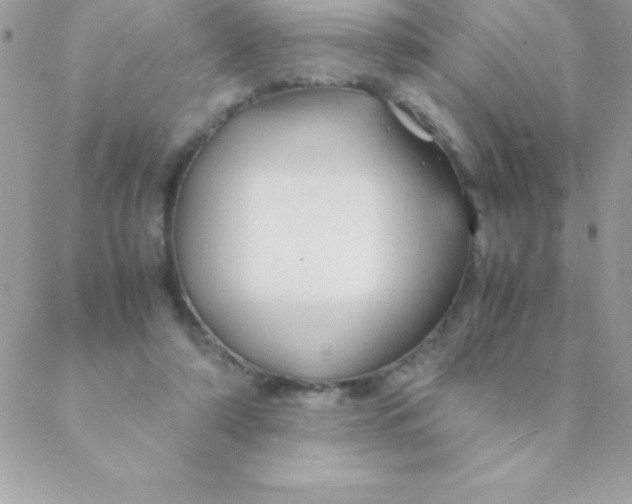 X0000088620306200706151859