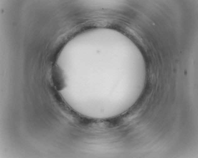 X0000088620307200706151859