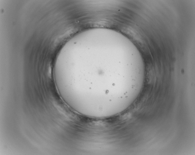 X0000088620310200706151859