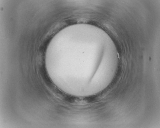 X0000088620311200706151859