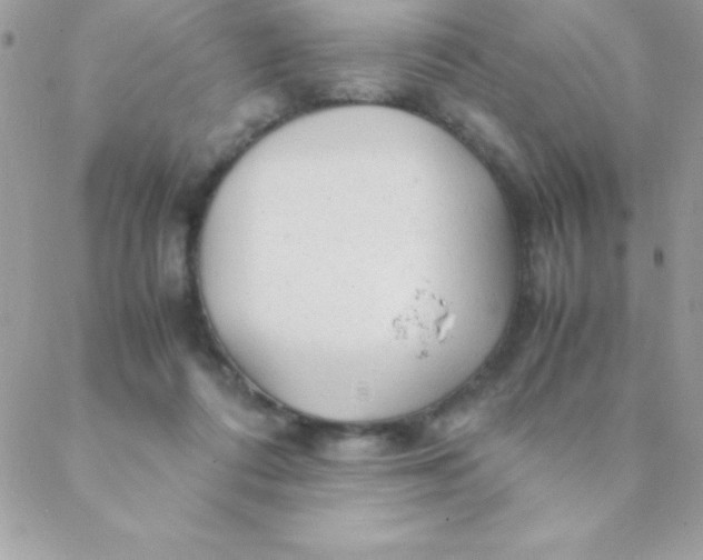 X0000088620312200706151859