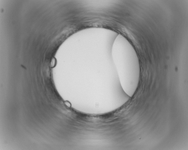 X0000088620313200706151859