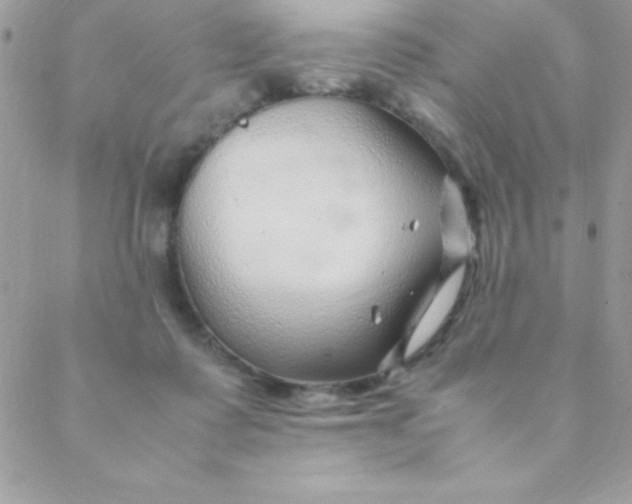 X0000088620315200706151859