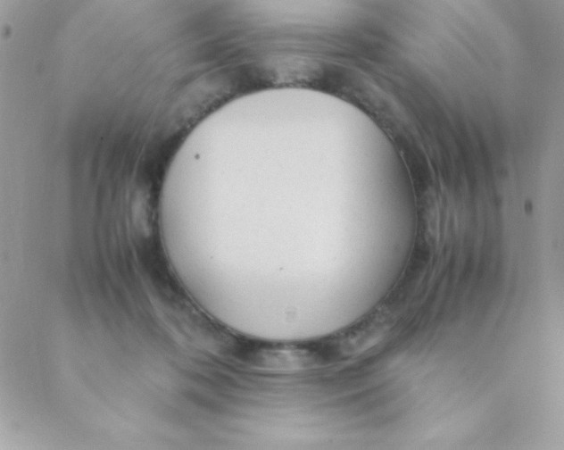 X0000088620316200706151859