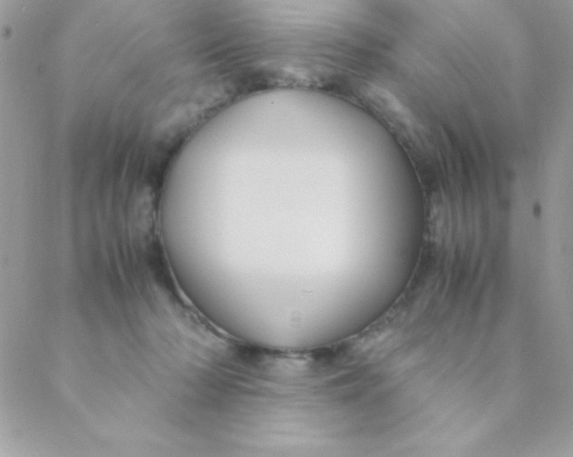 X0000088620318200706151859