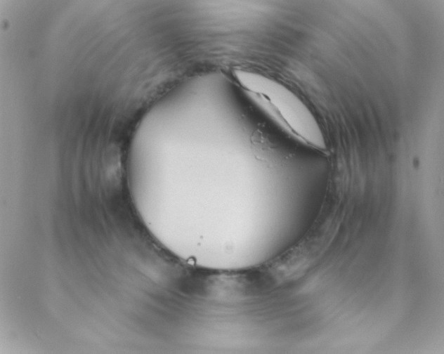 X0000088620320200706151858