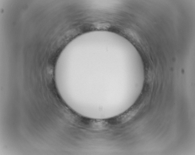 X0000088620321200706151858