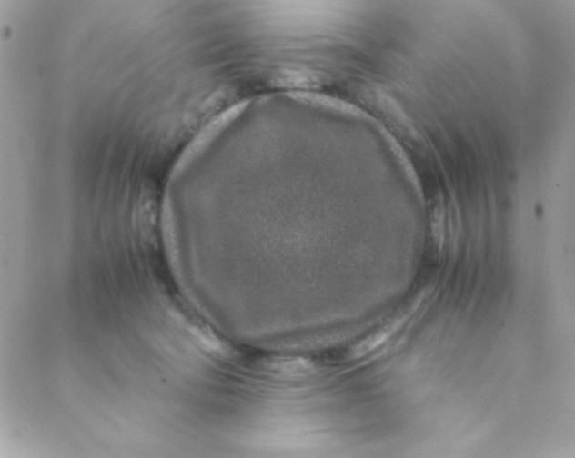 X0000088620322200706151858