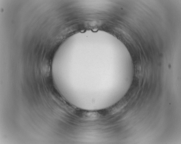 X0000088620324200706151858