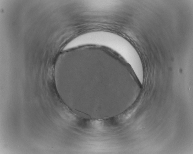 X0000088620325200706151858