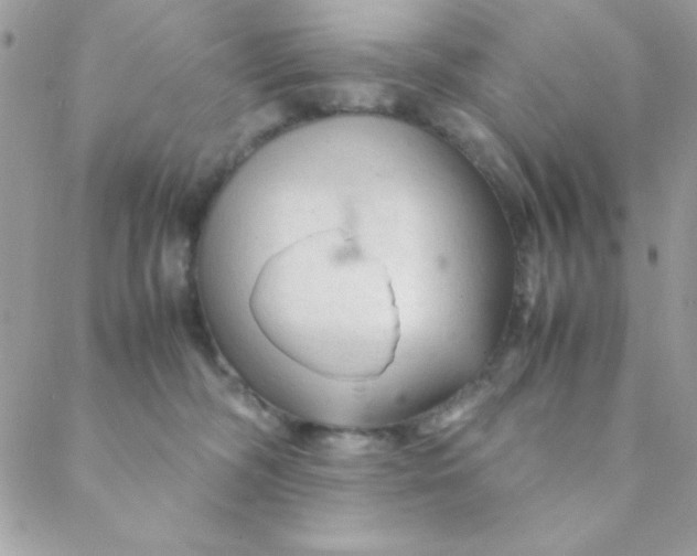 X0000088620326200706151858