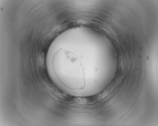 X0000088620328200706151858