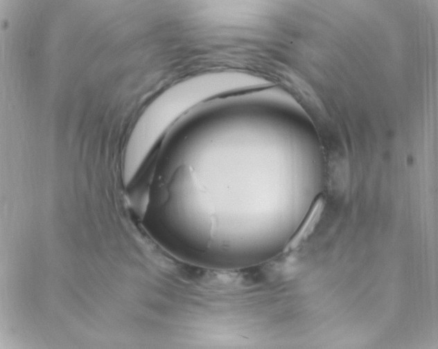 X0000088620329200706151858