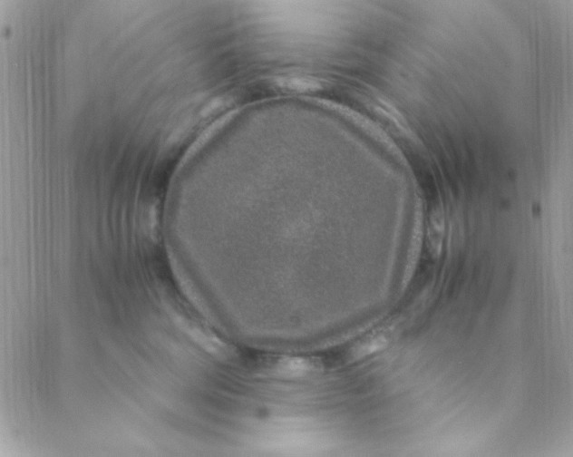 X0000088620330200706151858