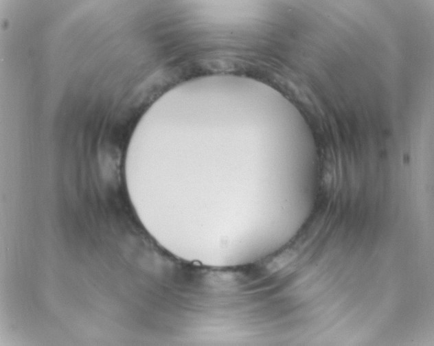 X0000088620332200706151858