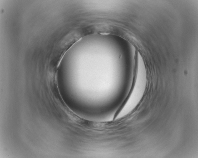 X0000088620333200706151858