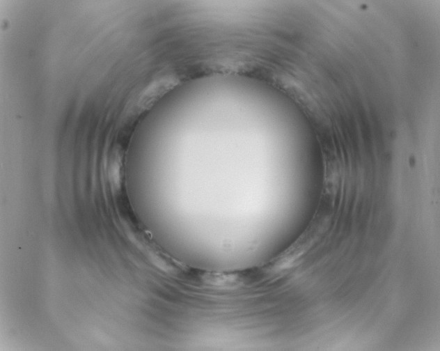 X0000088620334200706151858