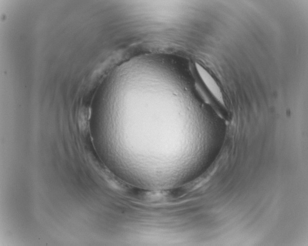 X0000088620335200706151858