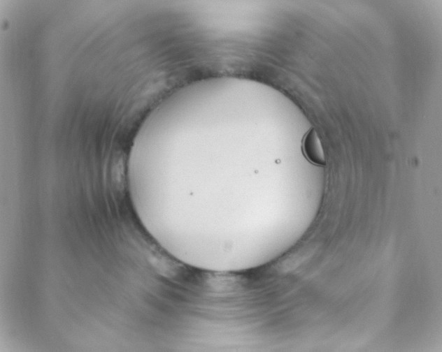 X0000088620336200706151858