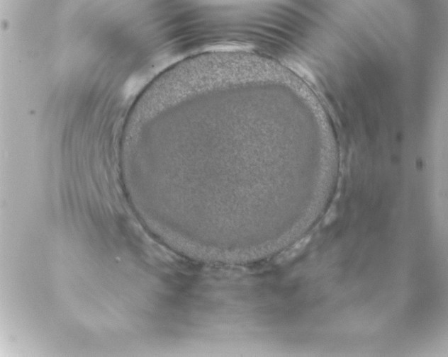 X0000088620337200706151857