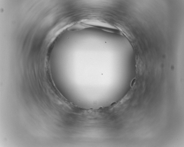 X0000088620338200706151857