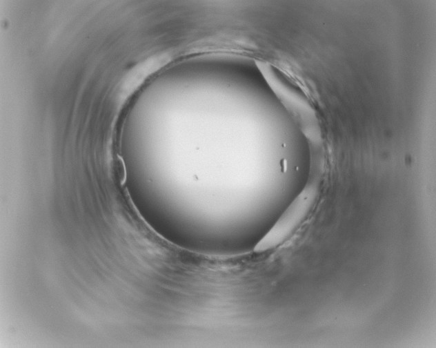 X0000088620340200706151857