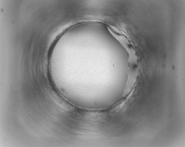 X0000088620342200706151858