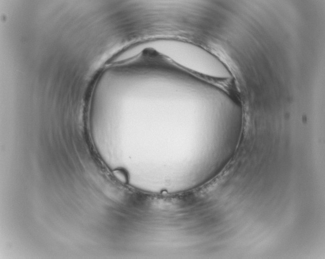 X0000088620346200706151858