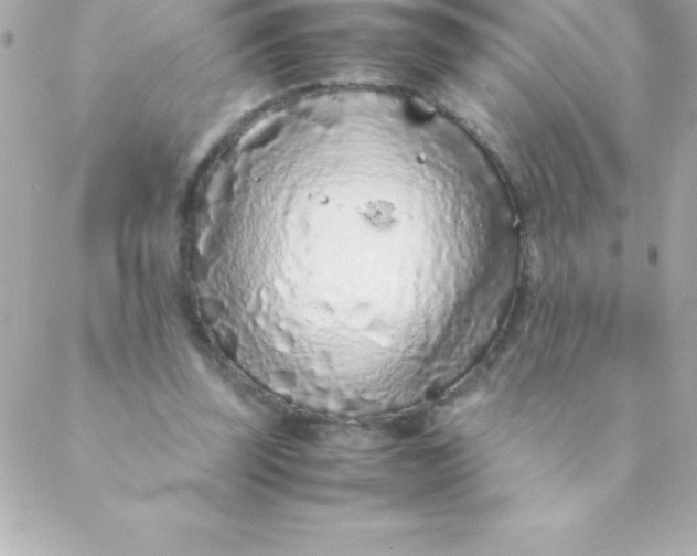 X0000088620347200706151858