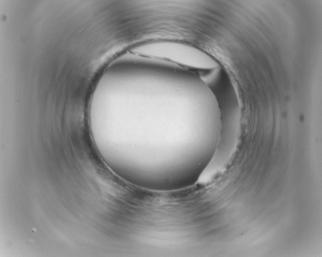 X0000088620348200706151858