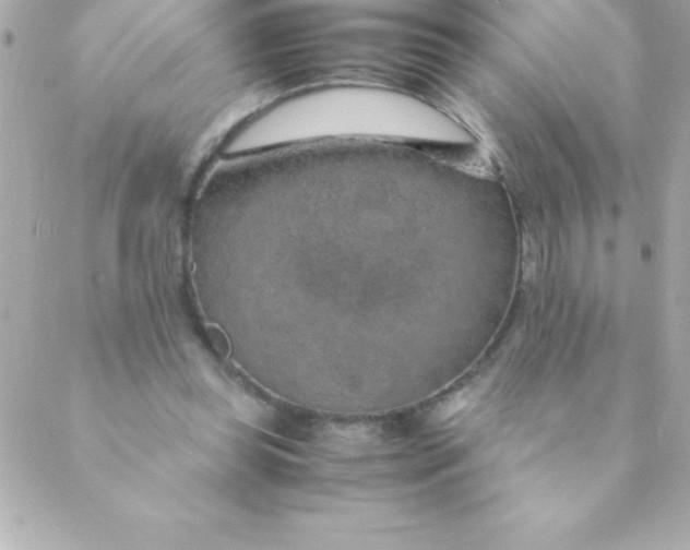 X0000088620349200706151858