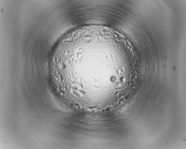 X0000088620351200706151858