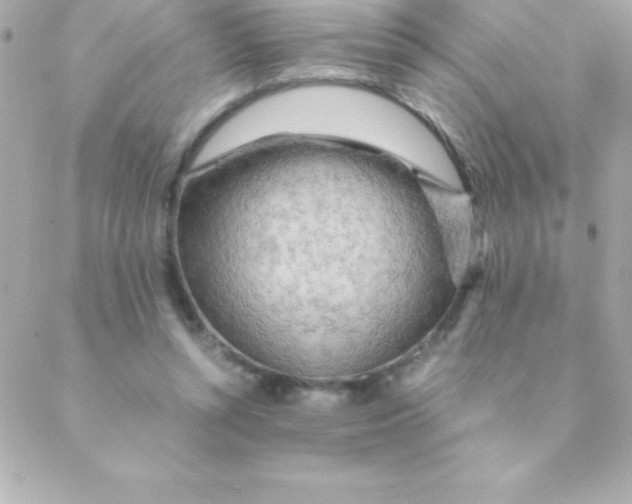 X0000088620352200706151858