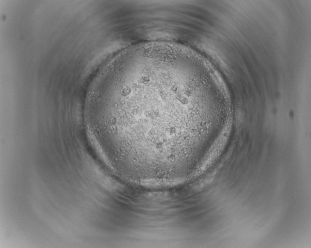 X0000088620353200706151858