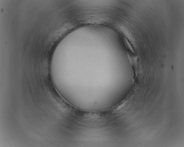 X0000088620354200706151858