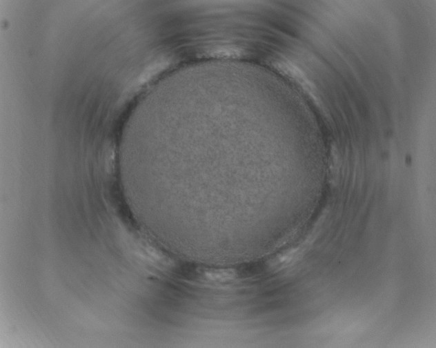 X0000088620355200706151858