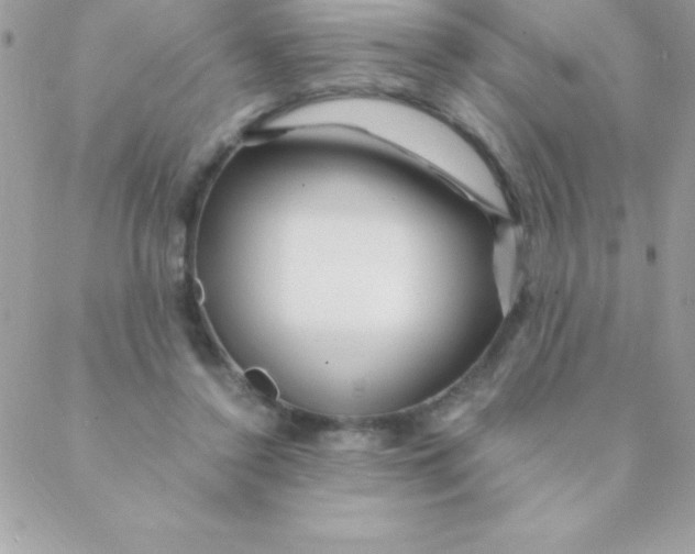 X0000088620356200706151858