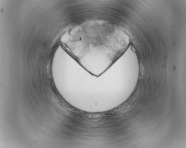 X0000088620357200706151858