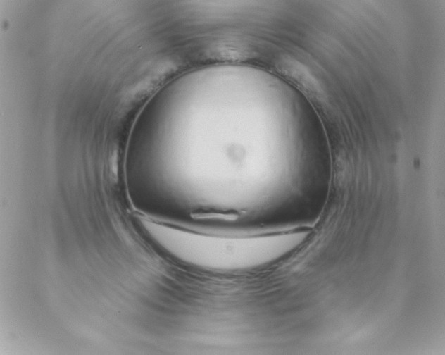 X0000088620358200706151858