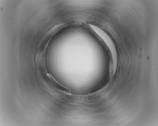 X0000088620360200706151858