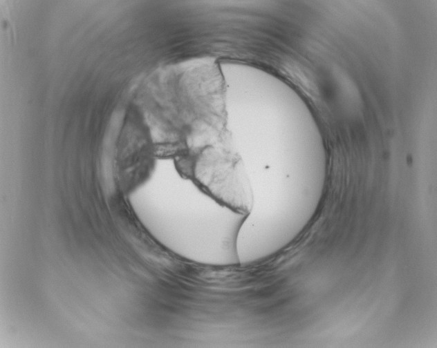 X0000088620361200706151858