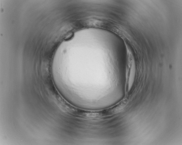 X0000088620363200706151858