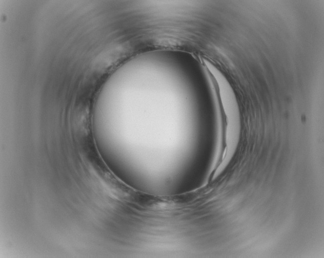 X0000088620364200706151858