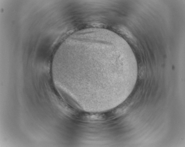 X0000088620365200706151858