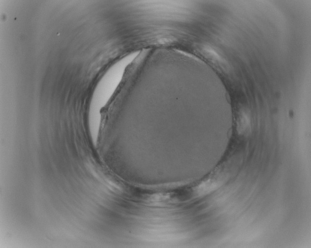 X0000088620366200706151858