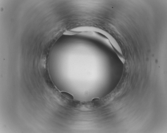 X0000088620368200706151858