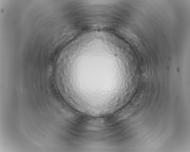 X0000088620369200706151858