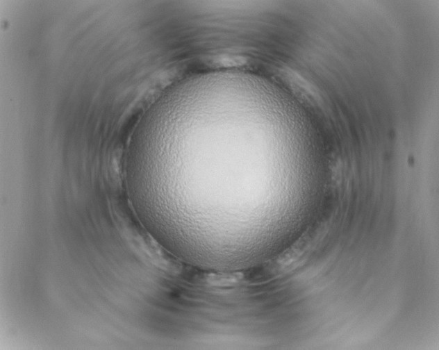 X0000088620373200706151858